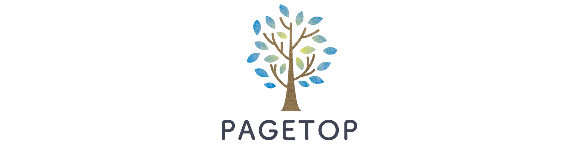 PAGE TOP